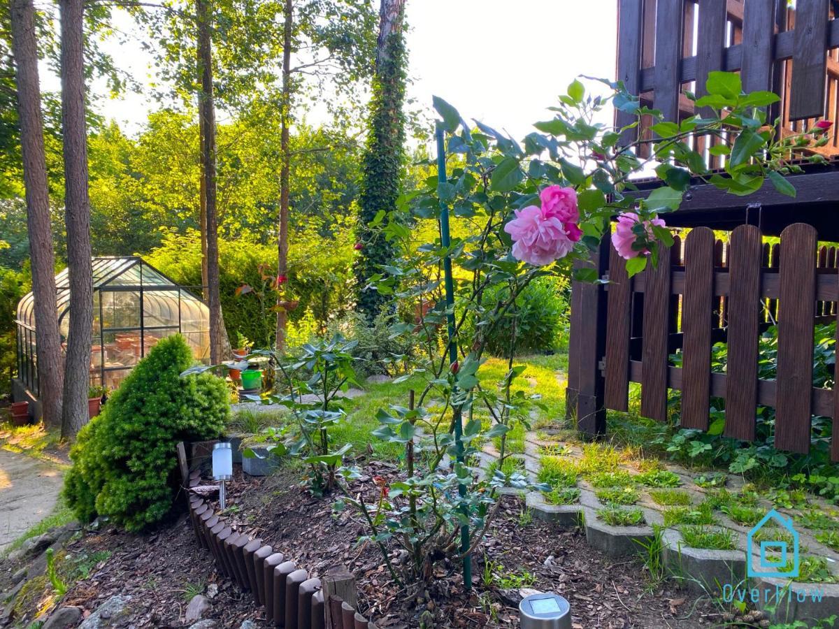 Holibobos Year Round Cottage In Kamien By The Lake Only 30 Minutes From Gdansk And Gdynia Eksteriør billede